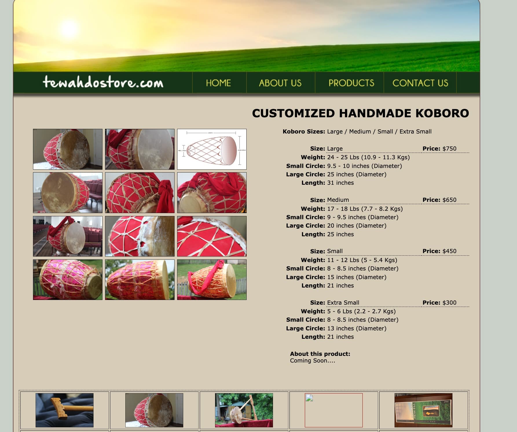 Before - Outdated Website